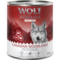 24x800g The Taste Of The Taste Of Canada Wolf of Wilderness - Pâtée pour chien