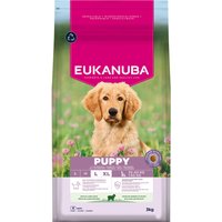 2x3kg Eukanuba Premium Nutrition Puppy Large & Giant Breed agneau & riz nourriture sèche pour chiens