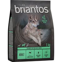 1kg Adult agneau, pommes de terre - SANS CÉRÉALES Briantos Croquettes pour chien à prix mini !