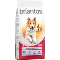 14kg Adult saumon, riz Briantos - Croquettes pour chien