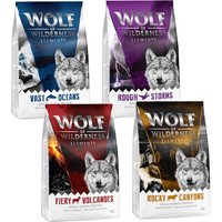 4x1kg "Elements" probeerpakket Rocky Canons, Vast Oceans, Fiery Volcano en Rough Storms Wolf of Wilderness Hondenvoer