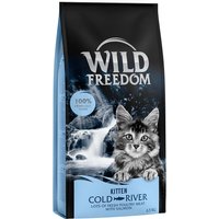 Wild Freedom Kitten