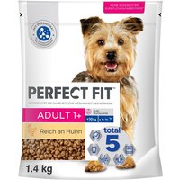 Perfect Fit Adult Small Dog (
