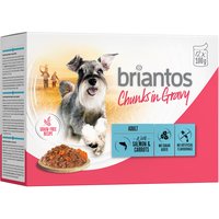 Ekonomipack: Briantos Chunks in Gravy 48 x 100 g - Lax & morötter