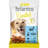 Briantos Dental snacks pour chien - Maxi (7 friandises)