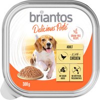 Briantos Delicious Paté 9 x 300 g pour chien – dinde