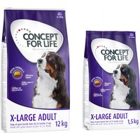 12kg X-Large Adult Concept for Life Croquettes pour chien + 1,5kg offert !