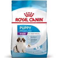 15kg Royal Canin Giant Puppy - Croquettes pour chien