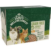 James Wellbeloved Adult Cat Hypoallergenic Pouches - Turkey in Gravy - Saver Pack: 48 x 85g