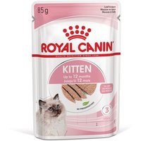 Royal Canin Kitten Mousse - 12 x 85 g