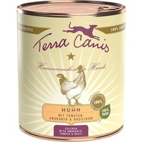 Terra Canis 12 x 800 g umido cane - Mix: 6 x Selvaggina + 6 x Pollo