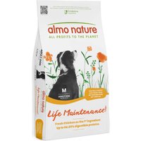 Almo Nature Life Maintenance Adult Medium pollo y arroz - 2 x 12 kg - Pack Ahorro