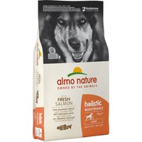 12kg Adult Large saumon, riz Almo nature croquettes pour chien