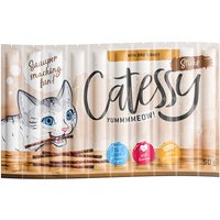 Catessy Sticks 10 x 5 g pour chat - dinde BBQ