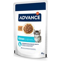 Advance Kitten com frango comida húmida para gatos - 12 x 85 g