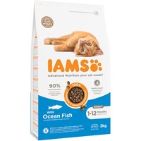 IAMS Advanced Nutrition Kitten poisson de mer pour chaton - 3 kg