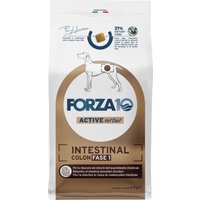 Forza 10 Active Line Intestinal Colon Phase 1 med fisk - Ekonomipack: 2 x 4 kg