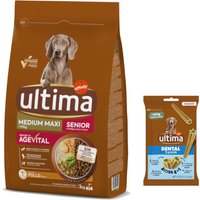 Ultima Hundfoder + 180 g Dental Sticks Medium / Maxi på köpet! - Medium / Maxi Senior kyckling, 3 kg
