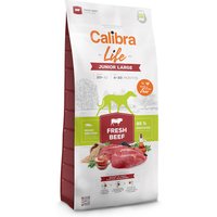 Calibra Life Junior Large Breed med färskt nötkött - 12 kg