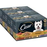 Cesar Country Kitchen Favourites mixpack - Ekonomipack: 96 x 150 g