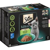 Sheba Kitten Sélection mixte 12 x 85 g pour chaton - sélection mixte en sauce (saumon, poulet)
