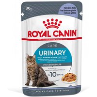 Royal Canin FCN Urinary Care i gelé - Ekonomipack: 24 x 85 g