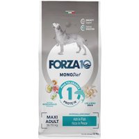 Ekonomipack: 2 / 3 påsar Forza 10 hundfoder till lågpris! - Maxi Diet med fisk (2 x 12 kg)