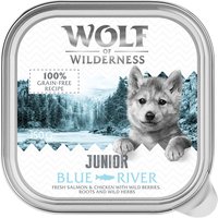 Wolf of Wilderness JUNIOR Duo de protéines 6 / 24 barquettes de 150 g pour chiot - 24 x 150 g Blue River – poulet, saumon