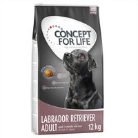 Concept for Life Labrador Retriever Adult Crocchette per cani - 12 kg