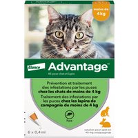 6 pipettes Ad-vantage 40 pour chat et lapin de moins de 4 kg
