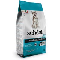 12 kg Croquettes Schesir Medium/Large Maintenance poisson pour chien