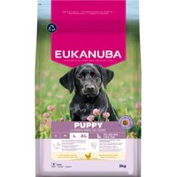 Eukanuba Premium Nutrition Puppy Large & Giant Breed Chicken - 15 kg