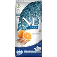 Multipack risparmio! 2 x 12 kg Farmina N&D Crocchette cane - Ocean Grain Free Adult Medium/Maxi Aringhe & Arancia