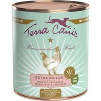 Ekonomipack: Terra Canis Grain Free 12 x 800 g - Blandpack: Vilt + Kyckling