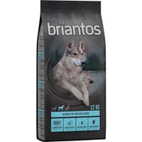 2x12kg Briantos SANS CÉRÉALES saumon, pommes de terre - Croquettes pour chien