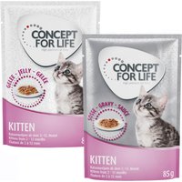 24x85g Kitten en sauce et en gelée Concept for Life - Pâtée pour chat