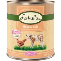 Ekonomipack: Lukullus Junior 24 x 800 g - Blandpack: Kalkonhjärta & lamm, Kyckling & kalv