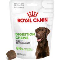 Royal Canin Digestion Adult Supplement pour chien - 160 g