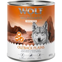 Lot Wolf of Wilderness The Taste Of 24 x 800 g pour chien - The Taste Of The Outback
