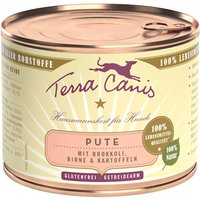 Terra Canis 12 x 200 g Alimento umido per cani - Tacchino con Broccoli, Pera e Patate
