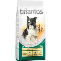 Briantos Senior, volaille, riz pour chien - 14 kg