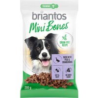 Briantos Mini Bones para cães 200 g - receita sem cereais - Pack económico: 2 x 200 g Salmão, cenouras e tomilho