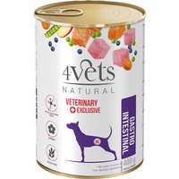 4Vets Natural Canine Gastro Intestinal - Ekonomipack: 12 x 400 g