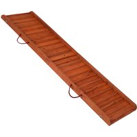 Rampe Backstage L 160 x l 40 x H 6 cm - pour chien