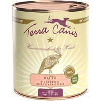 Terra Canis 12 x 800 g umido cane - Tacchino con Broccoli, Pera e Patate