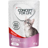 Lot Concept for Life sans céréales 48 x 85 g pour chat - Kitten bœuf en gelée