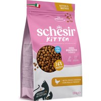 1.5kg Schesir Kitten Poulet Croquettes pour chat