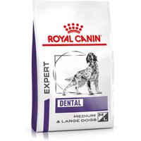 Royal Canin Expert Canine Dental Crocchette per cane - 13 kg