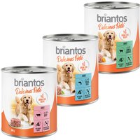 Lot mixte Briantos Delicious Paté pour chien - 24 x 800 g