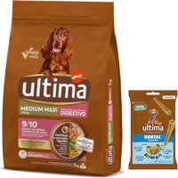 Ultima Hundfoder + 180 g Dental Sticks Medium / Maxi på köpet! - Medium / Maxi Digestive Well-Being lax 7 kg
